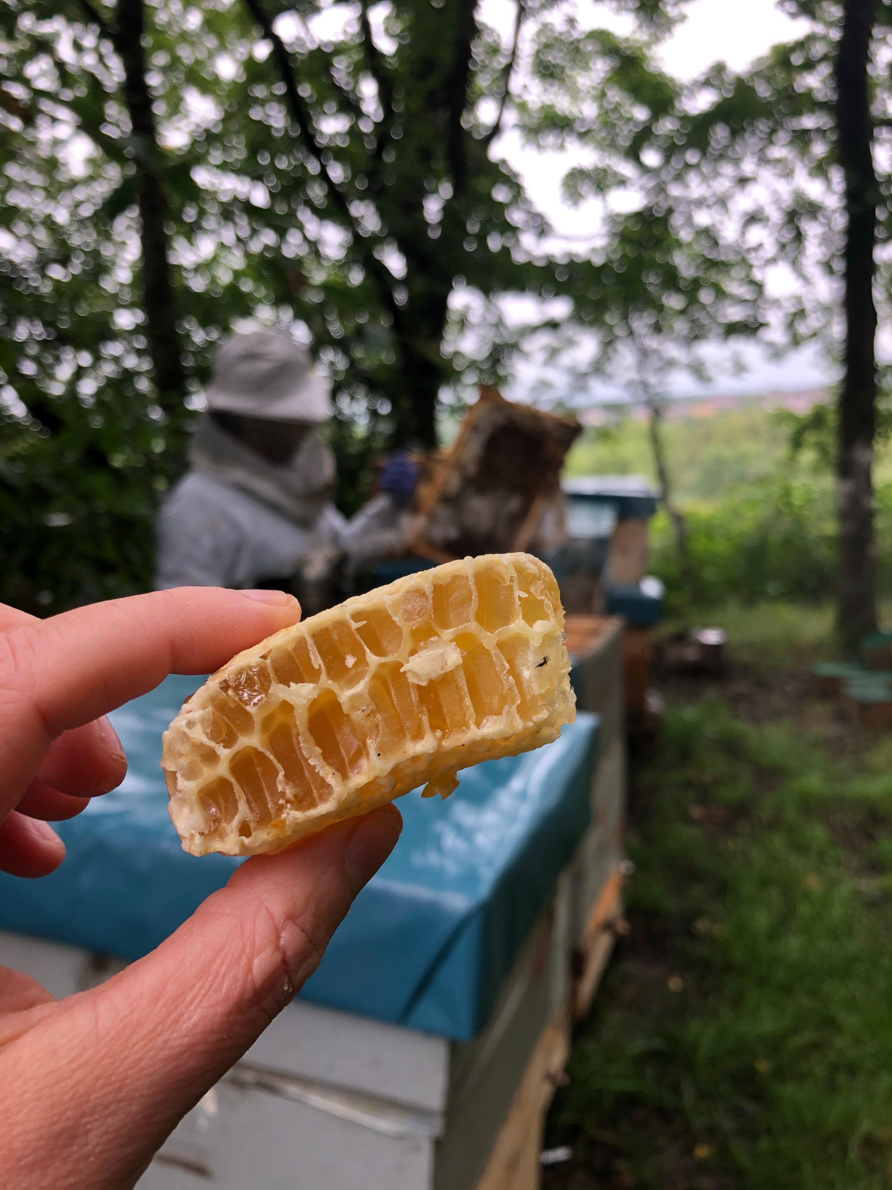Pure honey from Chorley